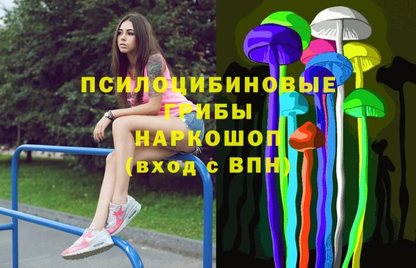 гашик Абаза